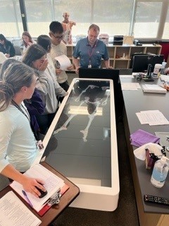 Students and teacher working with anatomy table